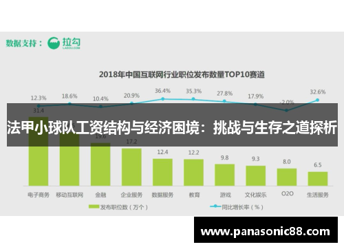 法甲小球队工资结构与经济困境：挑战与生存之道探析