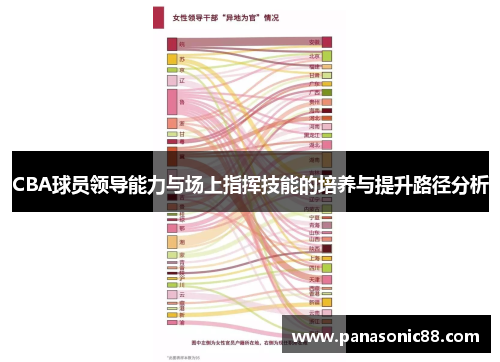 CBA球员领导能力与场上指挥技能的培养与提升路径分析