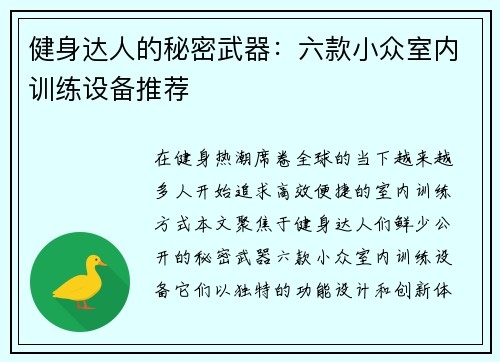 健身达人的秘密武器：六款小众室内训练设备推荐